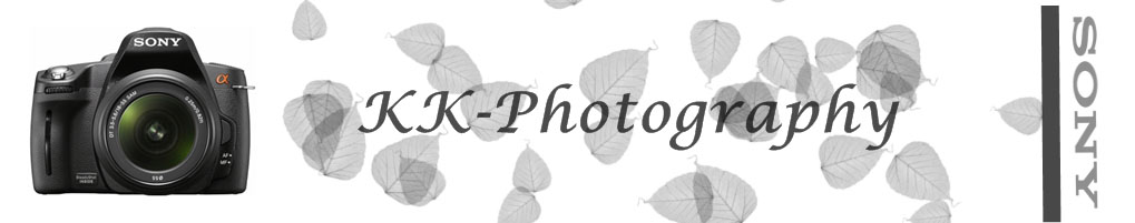 header-kendra8-Kopie