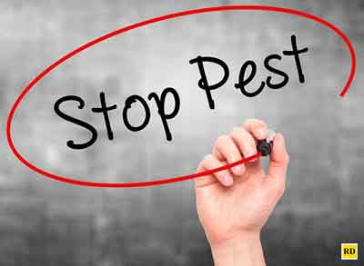default-residential-pest-co